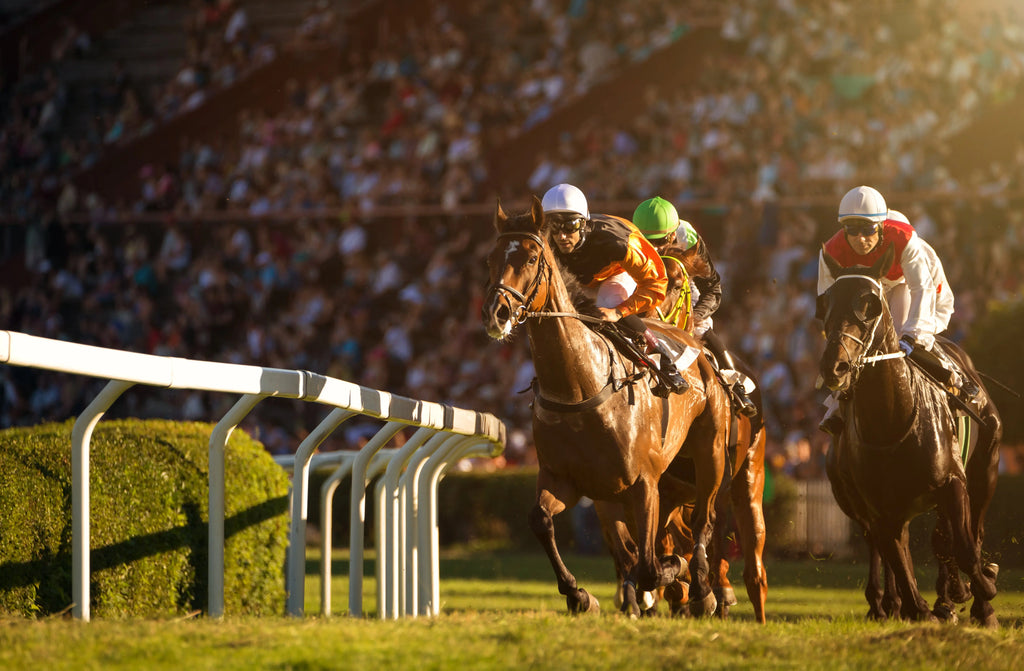 Thoroughbred racehorses with jockeys in colorful silks are in mid-race near a turn on the track, with a blurred crowd in the background during a sunlit evening.